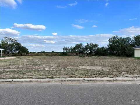3814 N Tower Road, Edinburg, TX 78542
