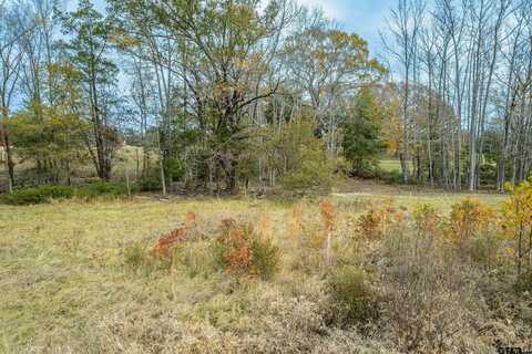 21540 Riva Ridge Dr, Lindale, TX 75771