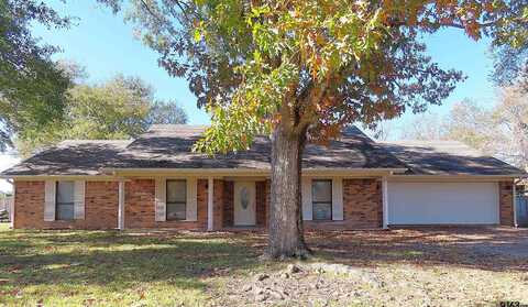 306 Green Lane Trail, Whitehouse, TX 75791