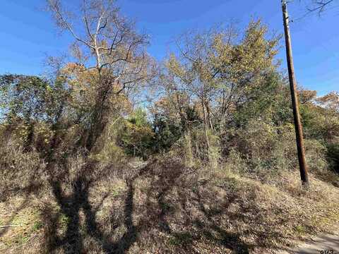 0 AN County Road 2304, Tennessee Colony, TX 75861