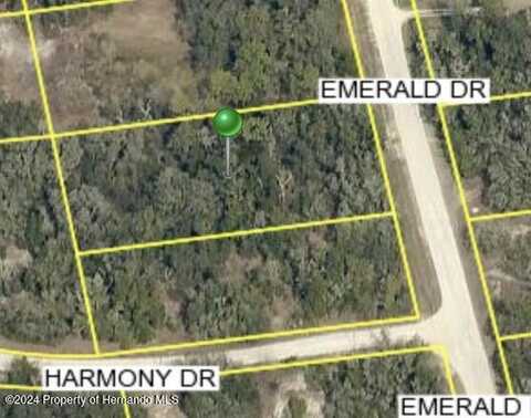 0 Emerald Drive, Ridge Manor, FL 33523