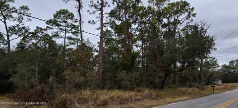 8131 Nightingale Road, Spring Hill, FL 34613