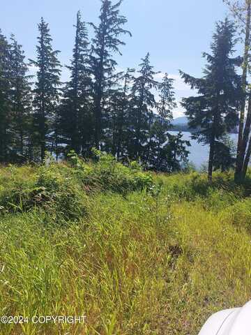 2.5 Mile Port St. NIcholas rd, Craig, AK 99921