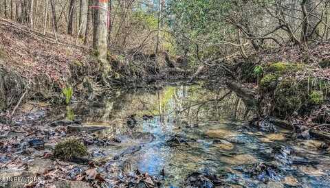 Nashville Ave, Deer Lodge, TN 37726