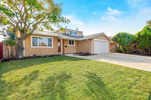 3244 San Luces Way, Union City, CA 94587