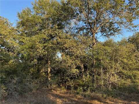 3327 Deer Ledge, Caldwell, TX 77836