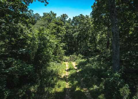 TBD Highway B, Ellington, MO 63638