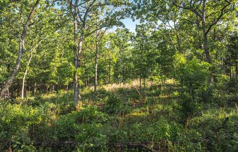 TBD Highway B, Ellington, MO 63638
