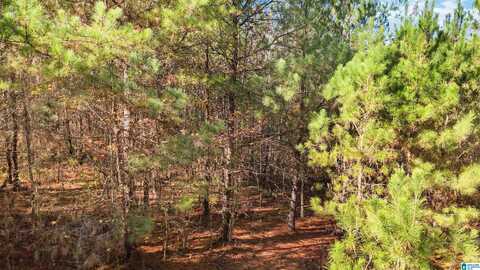 3590 LINDSEY LOOP ROAD, BESSEMER, AL 35022