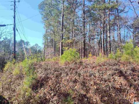 0 VALLEY CREST ROAD, SYLACAUGA, AL 35151