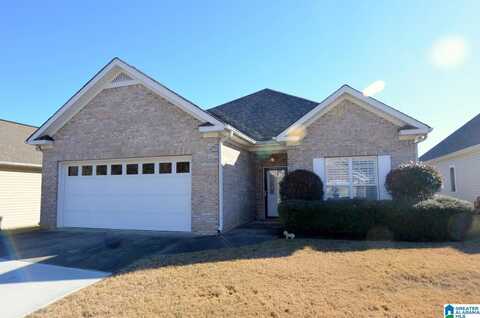 25 TRELLIS CIRCLE, SPRINGVILLE, AL 35146