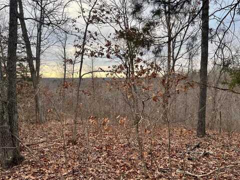 0 125.87ac Tract A-2 Clear Creek Road, Richwoods, MO 63071