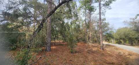 Sw 206 ave, Other City - In The State Of Florida, FL 34431