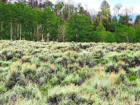 3662 & 63 County Road 25 & Hoosier Road, Powderhorn, CO 81243