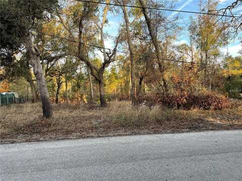 3474 RIVERDALE DRIVE, DADE CITY, FL 33523