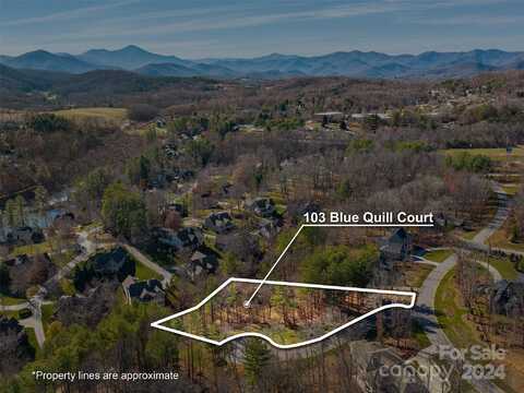 103 Blue Quill Court, Candler, NC 28715