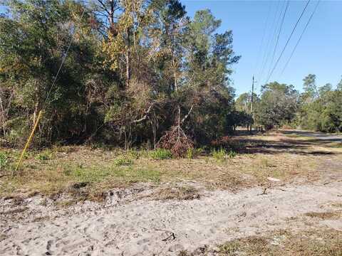 DIXIE DRIVE, PAISLEY, FL 32767