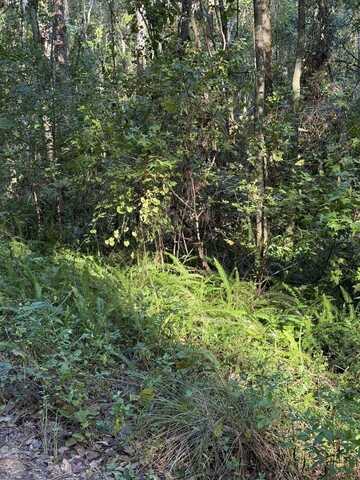 Tbd SW 18TH PLACE, OCALA, FL 34481
