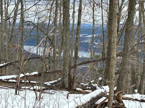 Mitchellsville Hill Road, Hammondsport, NY 14840