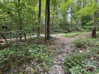 Laurel Spring Dr, Bryson City, NC 28713