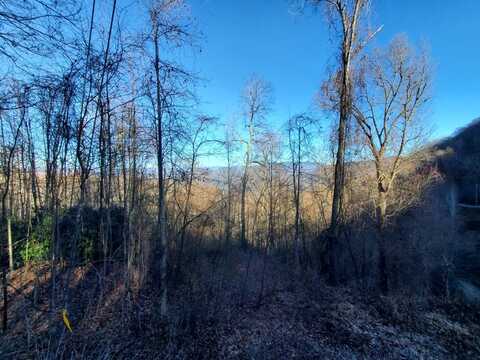 Lot 3 Hawks Ridge Dr, Whittier, NC 28789