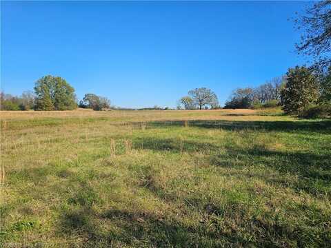 TBD 10 acres West Lee LN, Paris, AR 72855