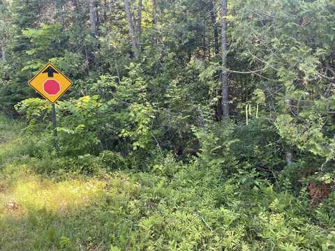 Lot 15-15 Brann Road, Levant, ME 04456