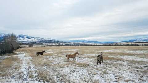 Nhn Mule Deer Road, Pray, MT 59065