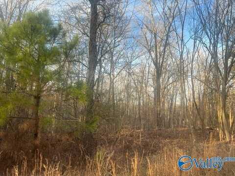 3 +/-acres County Road 137, Cedar Bluff, AL 35959