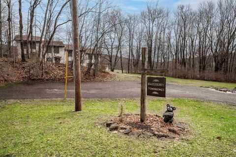 56C Baneberry Lane, Terra Alta, WV 26764