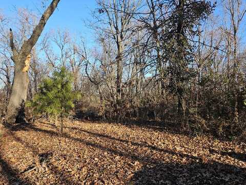 20 Ac Jesse James Road, Pineville, MO 64856