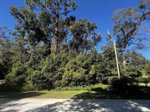 undefined, Masaryktown, FL 34604
