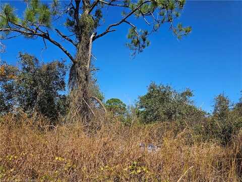 406 Hollow Lane, Lake Placid, FL 33852
