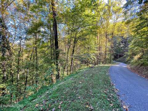 1020 Big Buck Tr, Townsend, TN 37882