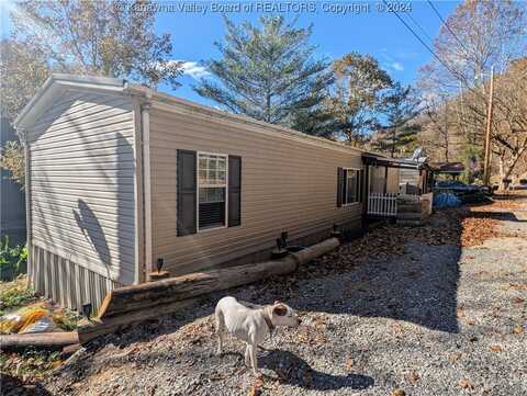 11462 Duck Road, Clay, WV 25133