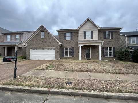 9262 LOGANBERRY, Memphis, TN 38016