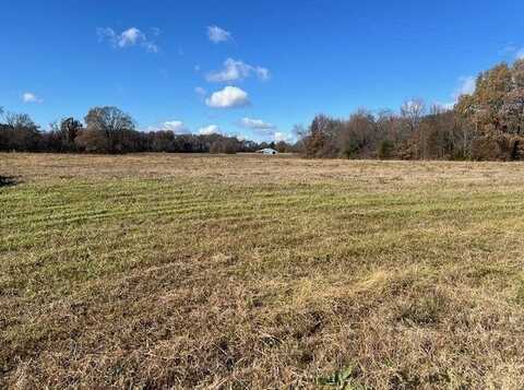 LOT 10 BRAMMER, Mason, TN 38049