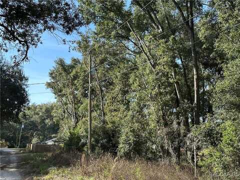 2904 Eisenhower Street W, Inverness, FL 34453