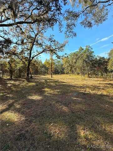 2384 S Columbine Avenue, Homosassa, FL 34448