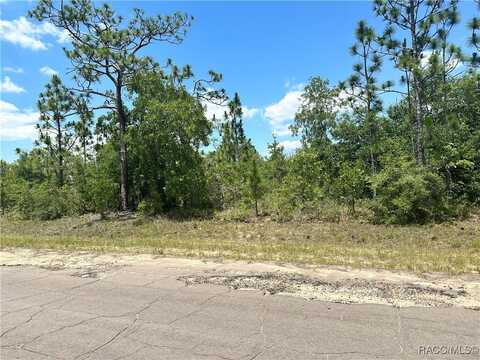 Tbd CAVALLIER Drive, Chipley, FL 32428