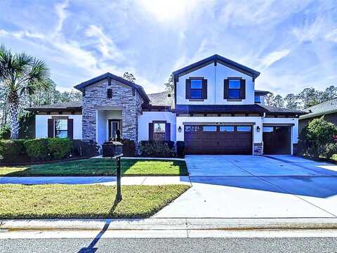 21914 BUTTERFLY KISS DRIVE, LAND O LAKES, FL 34637