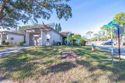 3207 GREEN DOLPHIN STREET, TARPON SPRINGS, FL 34689