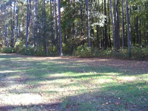 Lot 97 COVENTON LANE, HORNTOWN, VA 23395