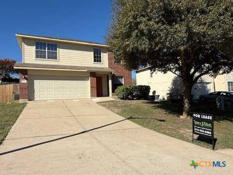 197 Peppergrass Cove, Kyle, TX 78640