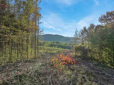 Lot # 2 Eaton Hill Road, Rumford, ME 04276