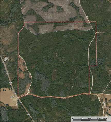 001 Firebreak 21 Road, Hosford, FL 32334