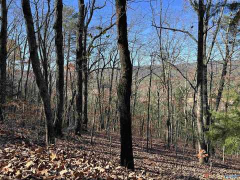 16 Acres Shinbone Valley Road, Menlo, GA 30731