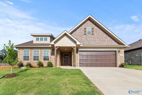 205 Roman Randall Road, New Market, AL 35761