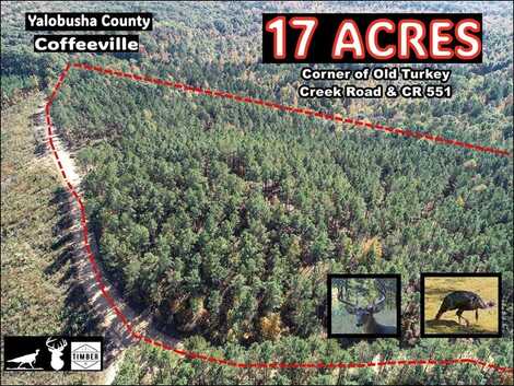 CR 551 and CR 129, Coffeeville, MS 38922