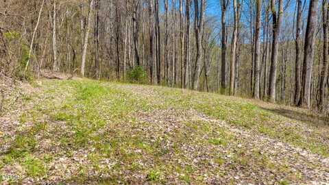 308 Honeymoon Lot 67 Hollow, Butler, TN 37640